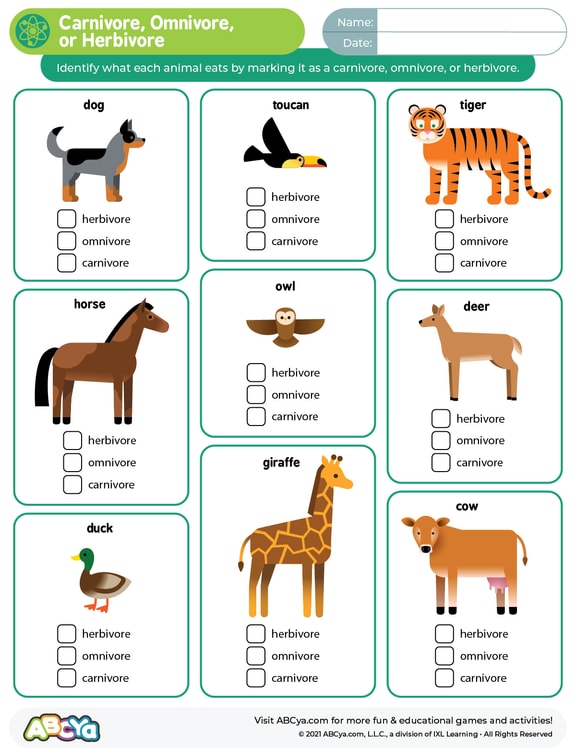 carnivore-omnivore-or-herbivore-abcya